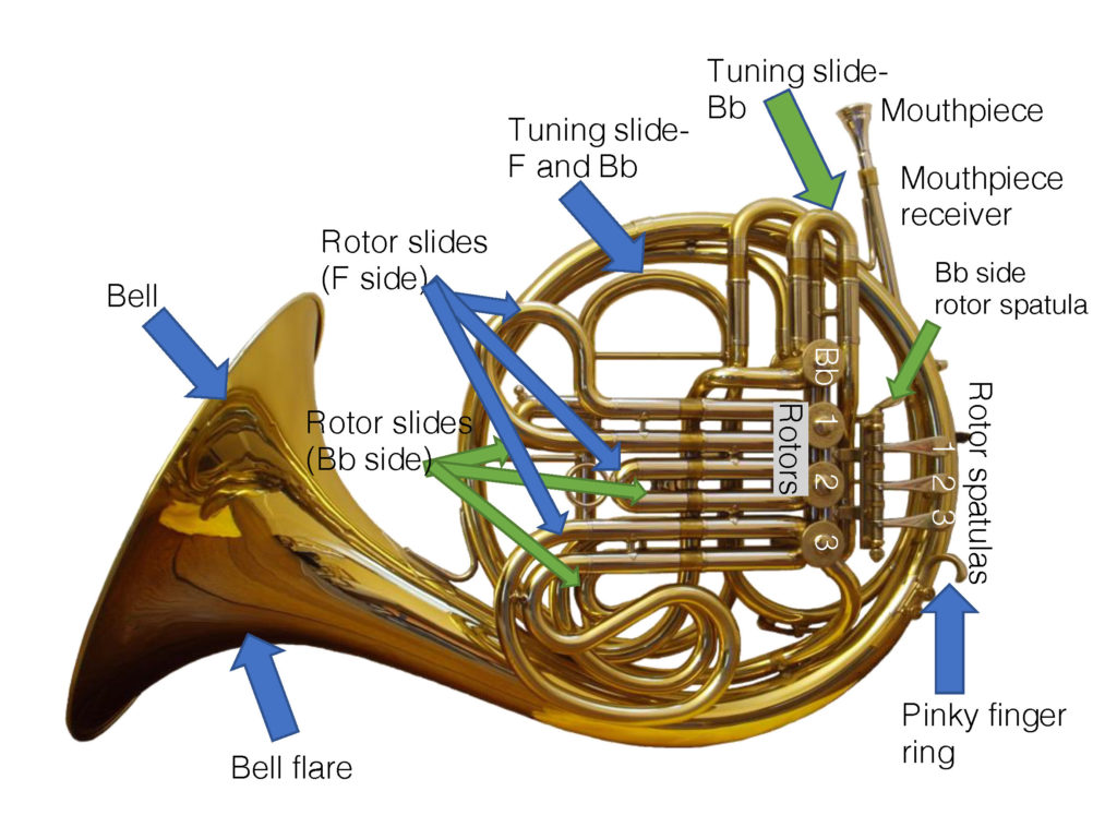 Parts of a double horn