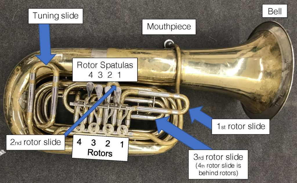 Rotor tuba anatomy