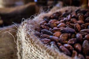 Cacao beans
