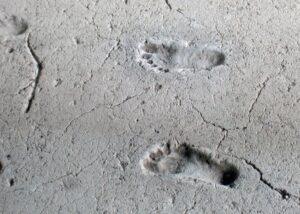 Footprint impressions