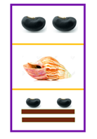 A row of two beans, followed by a conch shell, followed by a row of two beans above two stacked brown lines