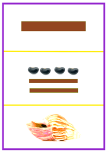 A brown line, followed by a row with four beans above two brown lines, followed by a conch shell