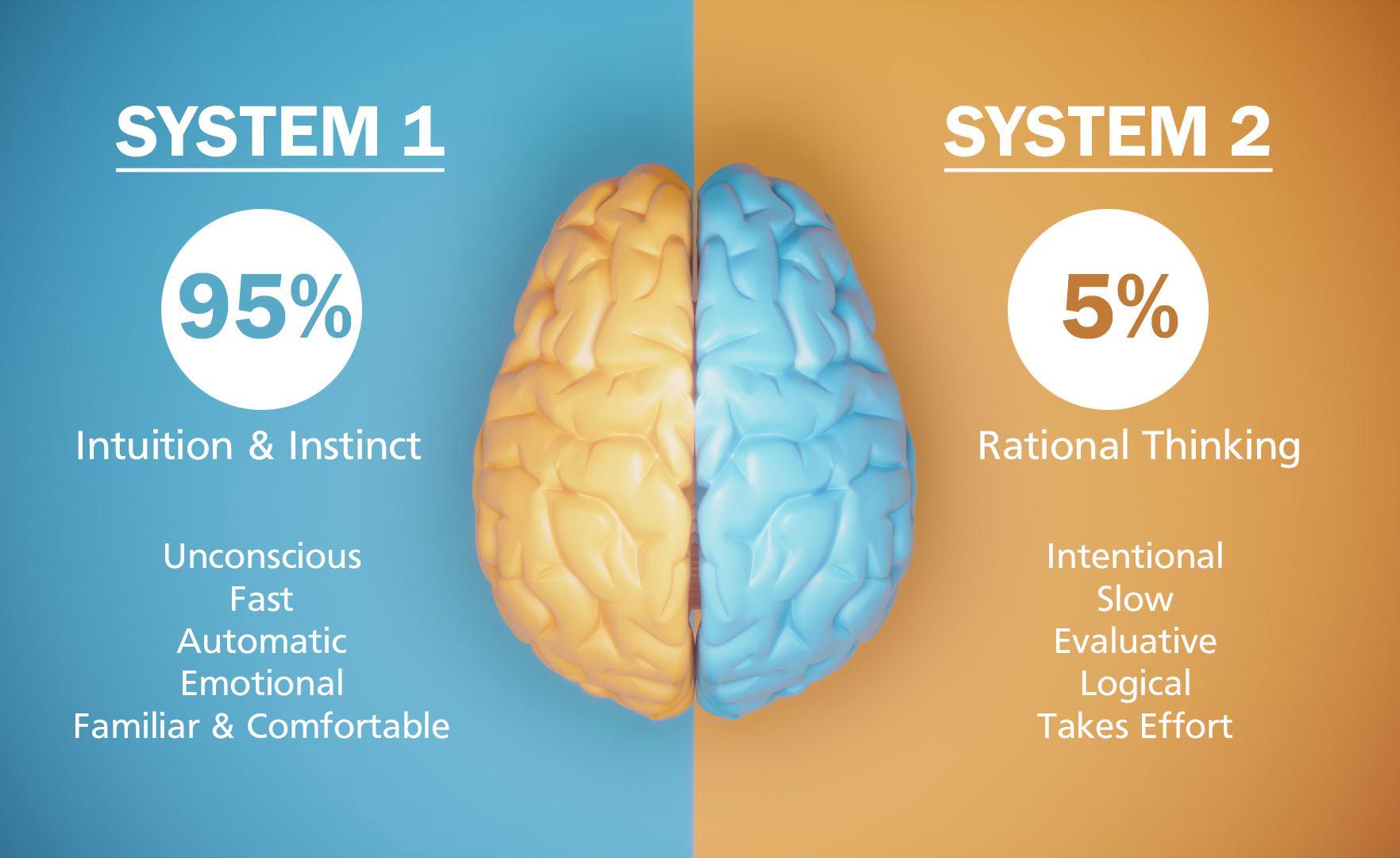 System 1 and System 2 thinking illustration distinguishing the two types of thinking