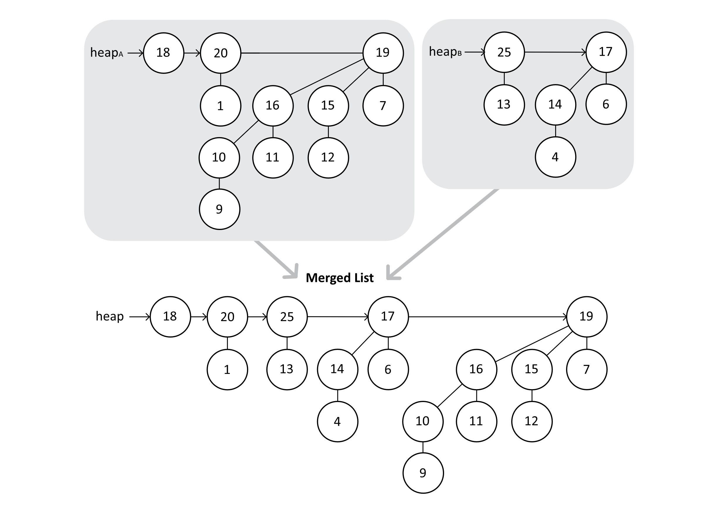 An intermediate stage of a binomial heap union. This represents the state of the heap list after a merge, but before resolving all the binomial trees.