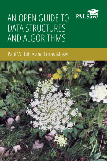 Cover image for An Open Guide to Data Structures and Algorithms