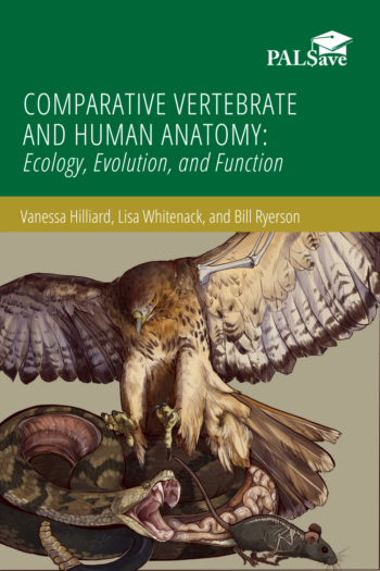 Cover image for Comparative Vertebrate and Human Anatomy: Ecology, Evolution, and Function