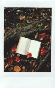 Photo of book laying on the ground by tree roots with leaves