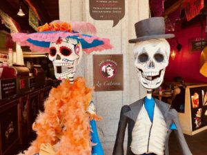 A photo of two artistic skulls with fancy hats and clothes, one dressed in a orange feather boa and blue and pink hat, and the other in a top hat and suit.