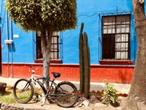 A photo of a bike locked to a tree in front of a bright blue building next to a tall cactus.