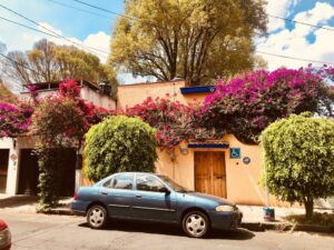 A photo of a blue sedan parked in front of a light orange building, with small flowering trees nearby.