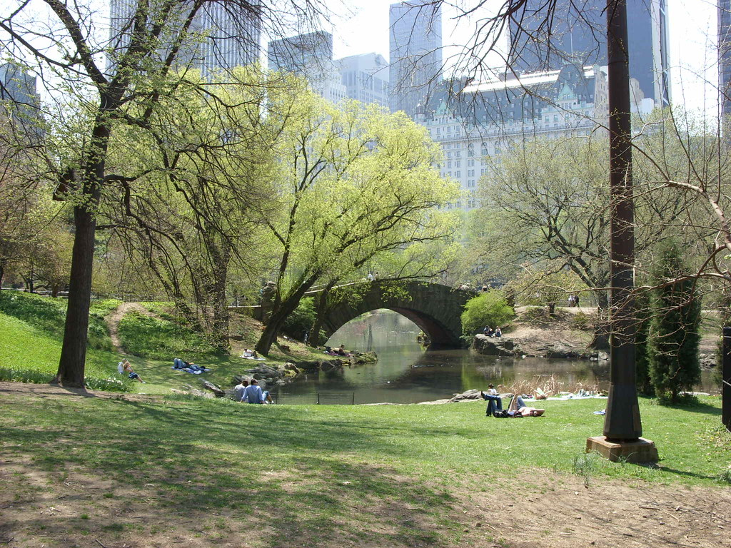 Photo of a bridge in Central Park, New York City, with people sitting on the grass nearby