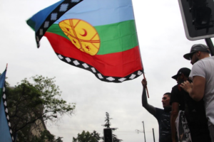 Bandera Mapuche