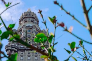 The facade of a palace as seen through tree branches