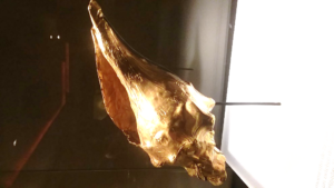 A conch shell made of gold