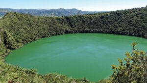 A view of a green lake surrounded by forest