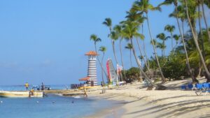 People on a beach with palm trees