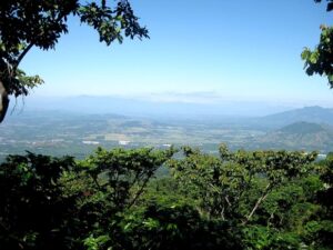 A vista with trees in the foreground and mountains and towns in the background