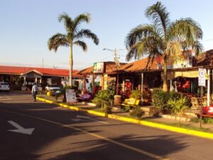 Shops along a street lined with palm trees