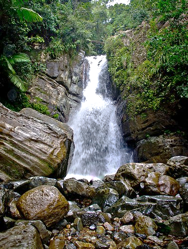 El Yunque waterfall