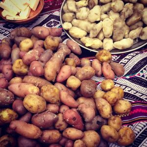 Mounds of potatoes on a colorful rug