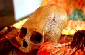 An oddly-shaped skull