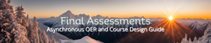 banner: Final Assessments