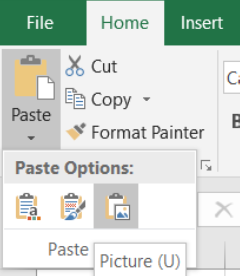 screen-capture of how to paste as a picture