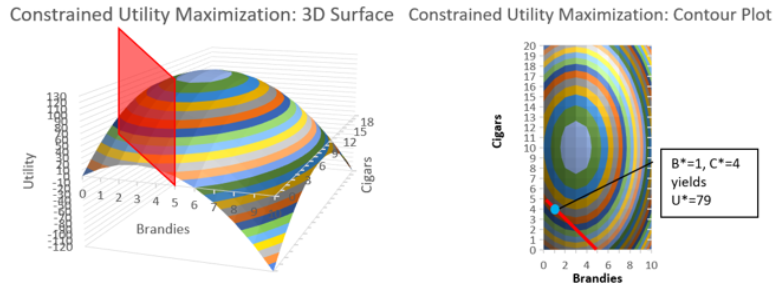 plots of 3D and 2D visualizations of constrained optimization