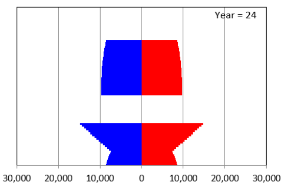 population pyramid after 24 years, has two separate parts to the graph