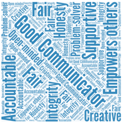 Image of a word cloud. The biggest phrase in the middle is "good communicator."