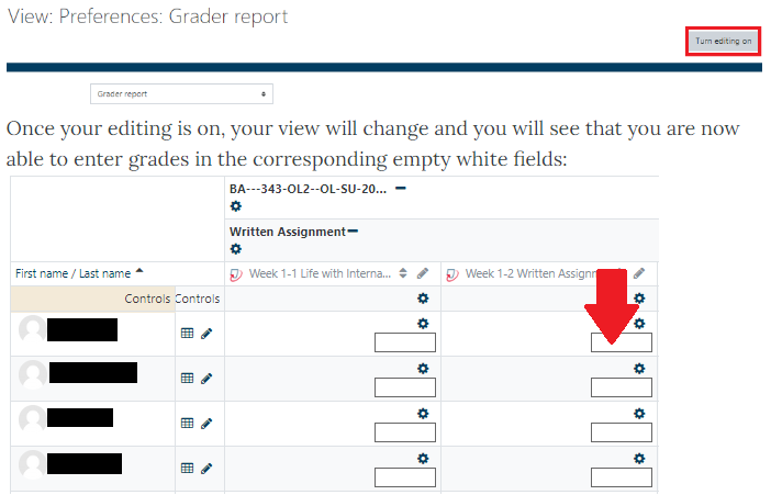The editable white space where you can enter grades from within the grader report menu.