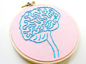 "Brain Anatomy Hoop Art. Hand Embroidered in Pink and Blue." by Hey Paul Studios is licensed under CC BY 2.0.
