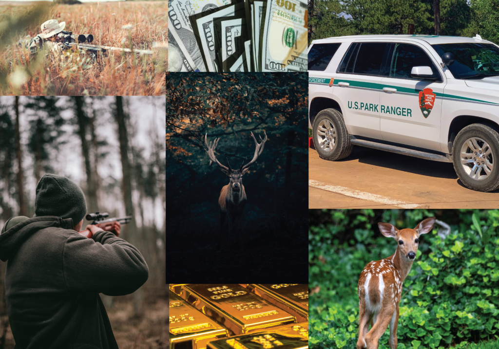 Slide with seven different pictures together depicting men with hunting rifles, adult and baby deer, a park ranger vehicle, and money depicted as cash and gold bars.