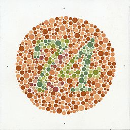 Red circle with the number 74 written in green, used a test for colorblindness