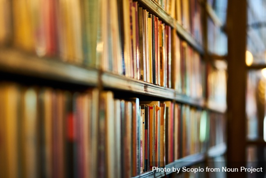 books on brown wooden bookshelves in closeup