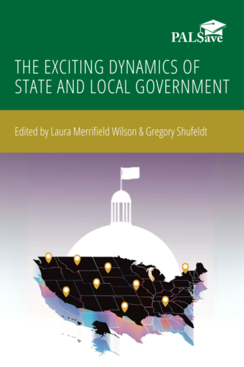 Cover image for The Exciting Dynamics of State and Local Government