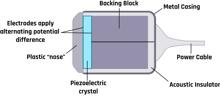 Components of an ultrasound probe.