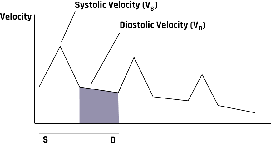 The transcranial Doppler velocity distribution.