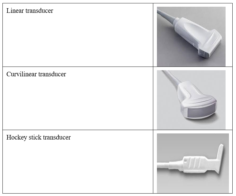 Some examples of commonly used transducers in musculoskeletal ultrasound assessment.